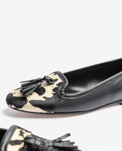 Bailarina ARI-100 vaca_38272.jpg