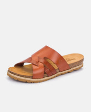 Sandalia plana Chipre 250 marrón_28930.jpg