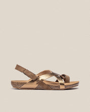 Sandalia plana Ibiza 718 marrón_33195.jpg