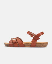 Sandalia plana Ibiza 185 marrón_29721.jpg