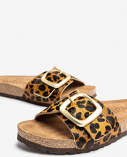 Sandalia plana JERBA-114 leopardo_37625.jpg