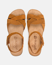 Sandalia plana Manacor 002 marrón_29591.jpg