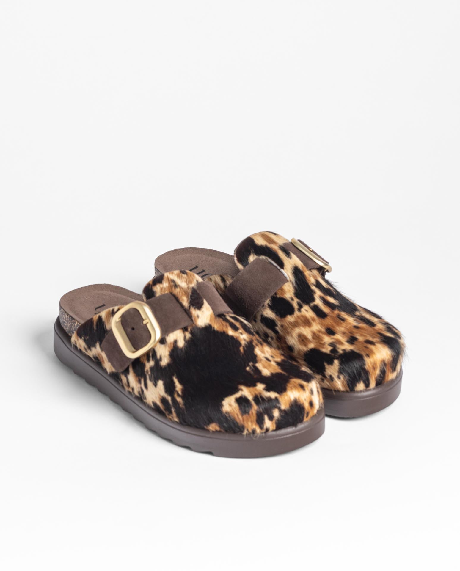 Clog TUNEZ-654 printed