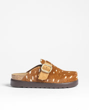 Clog TUNEZ-654 printed