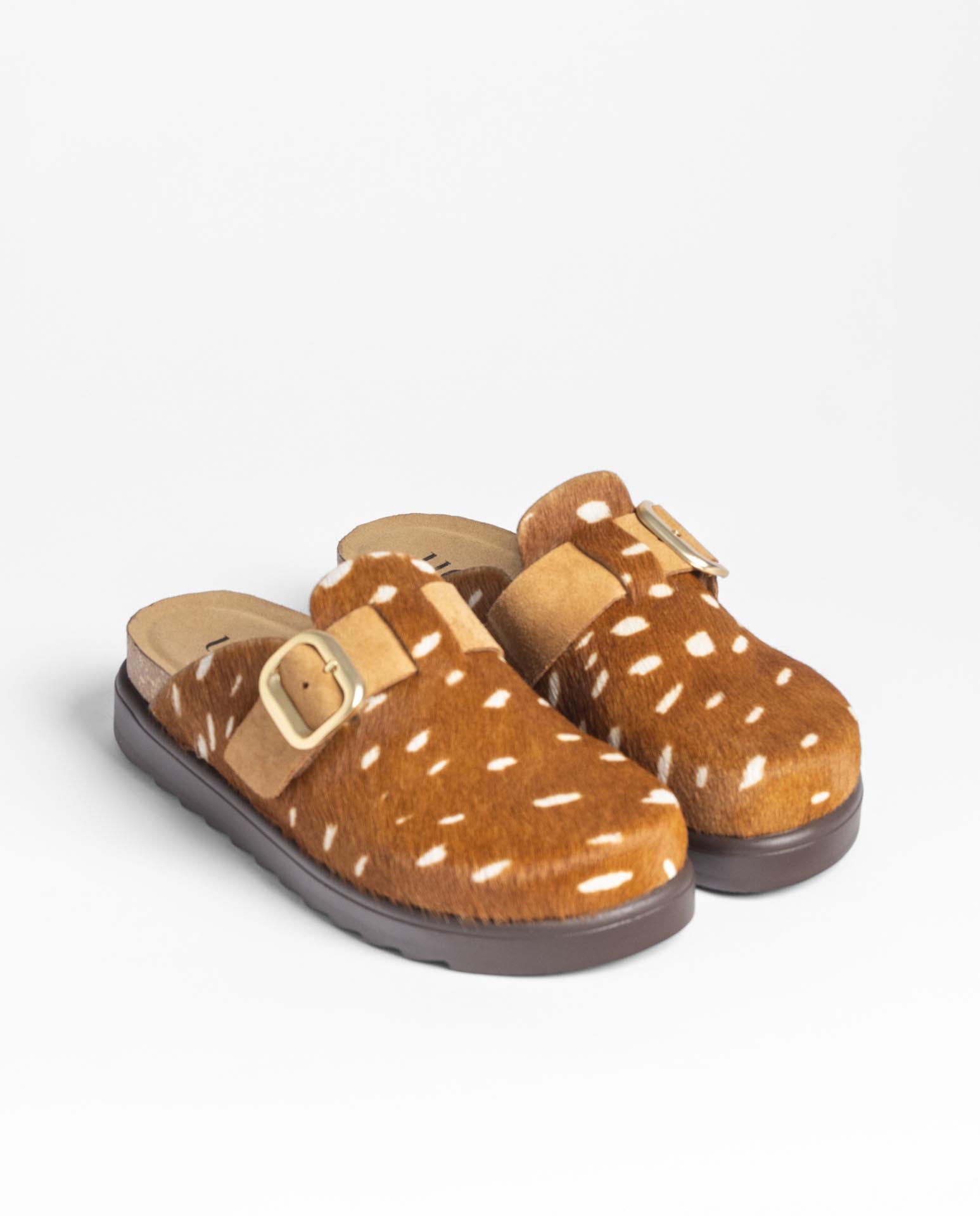 Clog TUNEZ-654 printed