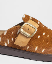Clog TUNEZ-654 printed