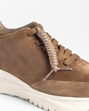 Sneaker VERONA-260 marron